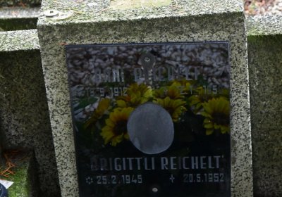 Novosedlice, Omnium, 2020