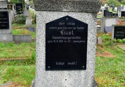 Novosedlice, Omnium, 2020