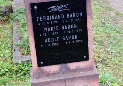 Novosedlice, Omnium, 2020