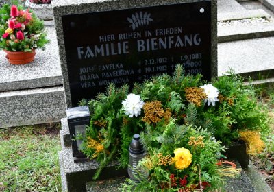 Novosedlice, Omnium, 2020