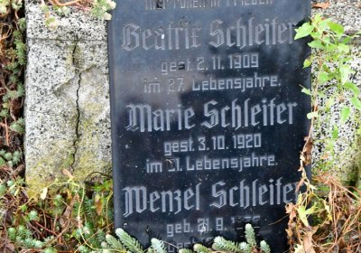 Novosedlice, Omnium, 2020