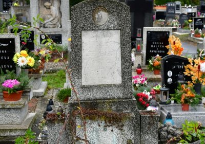 Novosedlice, Omnium, 2020