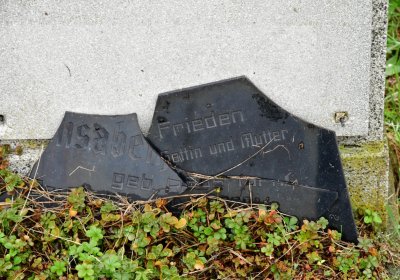 Novosedlice, Omnium, 2020