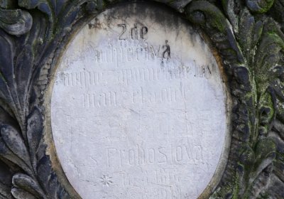 Novosedlice, Omnium, 2020