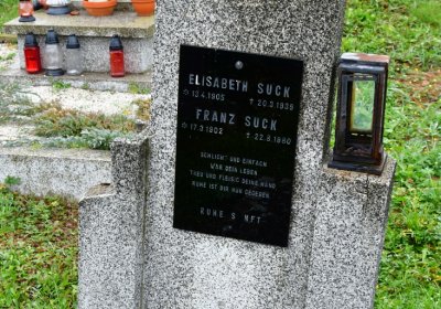 Novosedlice, Omnium, 2020