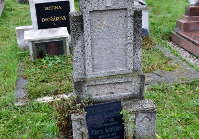 Novosedlice, Omnium, 2020