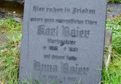 Novosedlice, Omnium, 2020