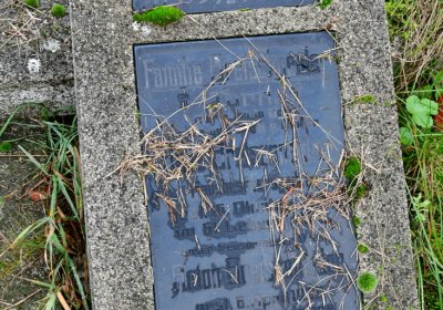 Novosedlice, Omnium, 2020