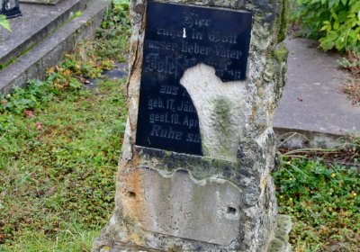 Novosedlice, Omnium, 2020