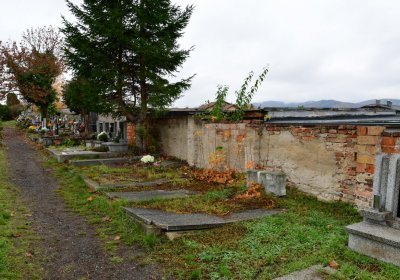 Novosedlice, Omnium, 2020