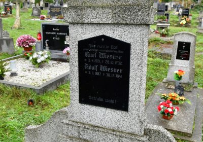 Novosedlice, Omnium, 2020