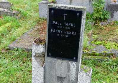 Novosedlice, Omnium, 2020