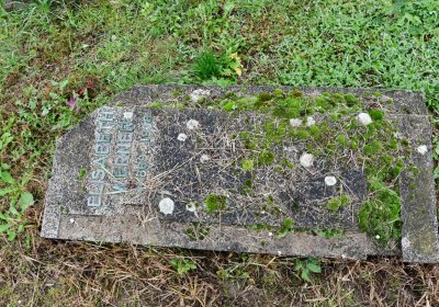 Novosedlice, Omnium, 2020