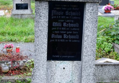 Novosedlice, Omnium, 2020