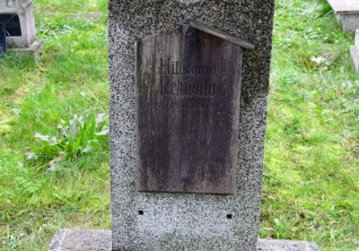 Novosedlice, Omnium, 2020