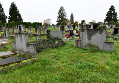 Novosedlice, Omnium, 2020