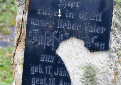 Novosedlice, Omnium, 2020