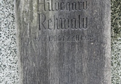 Novosedlice, Omnium, 2020