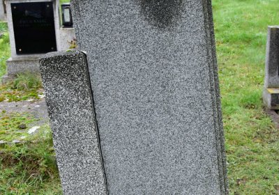 Novosedlice, Omnium, 2020