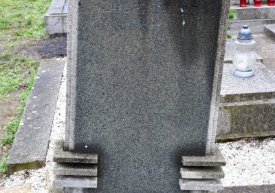 Novosedlice, Omnium, 2020