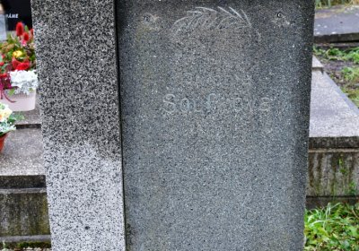 Novosedlice, Omnium, 2020