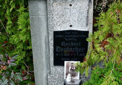 Novosedlice, Omnium, 2020