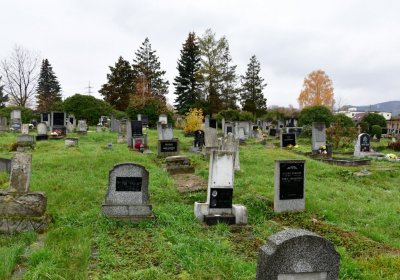 Novosedlice, Omnium, 2020