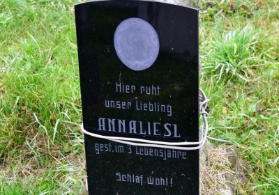 Novosedlice, Omnium, 2020