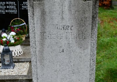 Novosedlice, Omnium, 2020