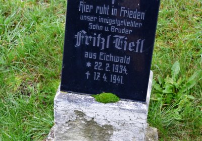 Novosedlice, Omnium, 2020