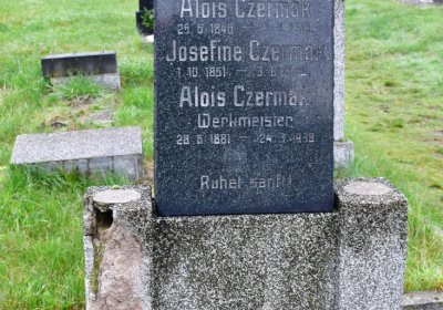 Novosedlice, Omnium, 2020