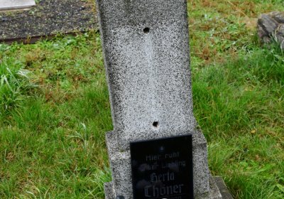 Novosedlice, Omnium, 2020