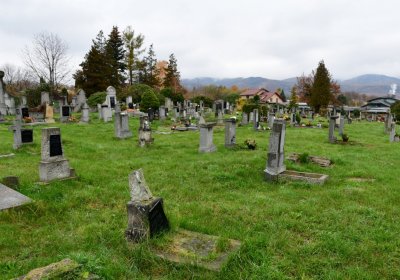 Novosedlice, Omnium, 2020