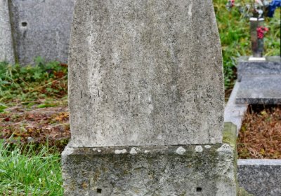 Novosedlice, Omnium, 2020