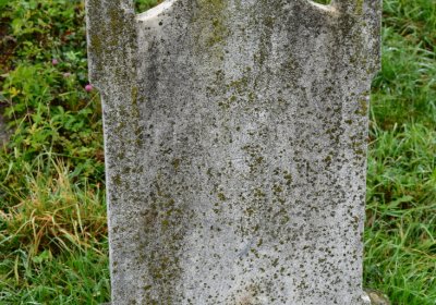 Novosedlice, Omnium, 2020