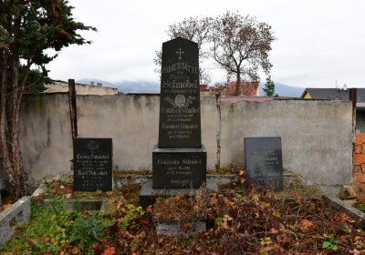 Novosedlice, Omnium, 2020