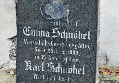 Novosedlice, Omnium, 2020