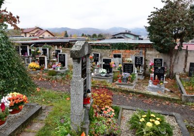 Novosedlice, Omnium, 2020