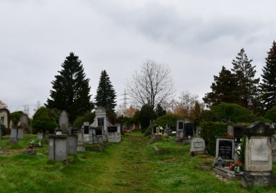 Novosedlice, Omnium, 2020