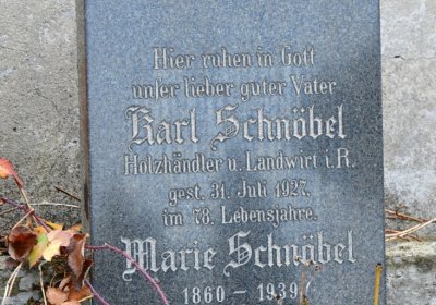 Novosedlice, Omnium, 2020