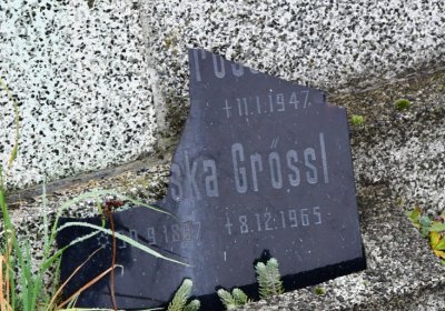 Novosedlice, Omnium, 2020