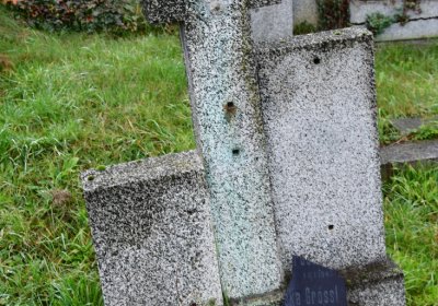 Novosedlice, Omnium, 2020