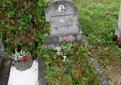 Novosedlice, Omnium, 2020