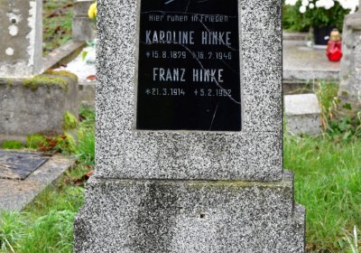 Novosedlice, Omnium, 2020