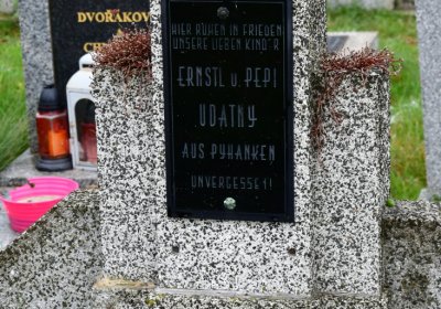 Novosedlice, Omnium, 2020