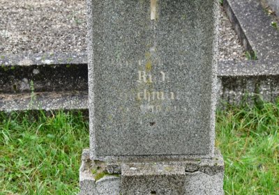 Novosedlice, Omnium, 2020