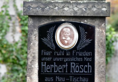 Novosedlice, Omnium, 2020