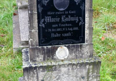 Novosedlice, Omnium, 2020