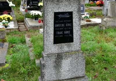 Novosedlice, Omnium, 2020