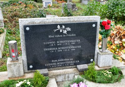 Novosedlice, Omnium, 2020